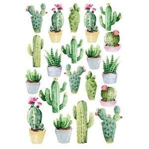 Placa A5 Sweet Wood – Cactus 20pç - Image 2